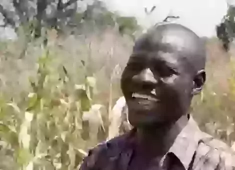 The Good Samaritans